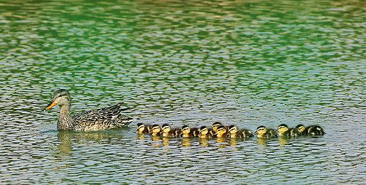 一代经典！游戏《仙剑奇侠传》登陆任天堂Switch